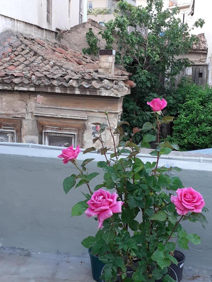17 Flats And Roof Garden Διαμέρισμα Αθήνα Εξωτερικό φωτογραφία