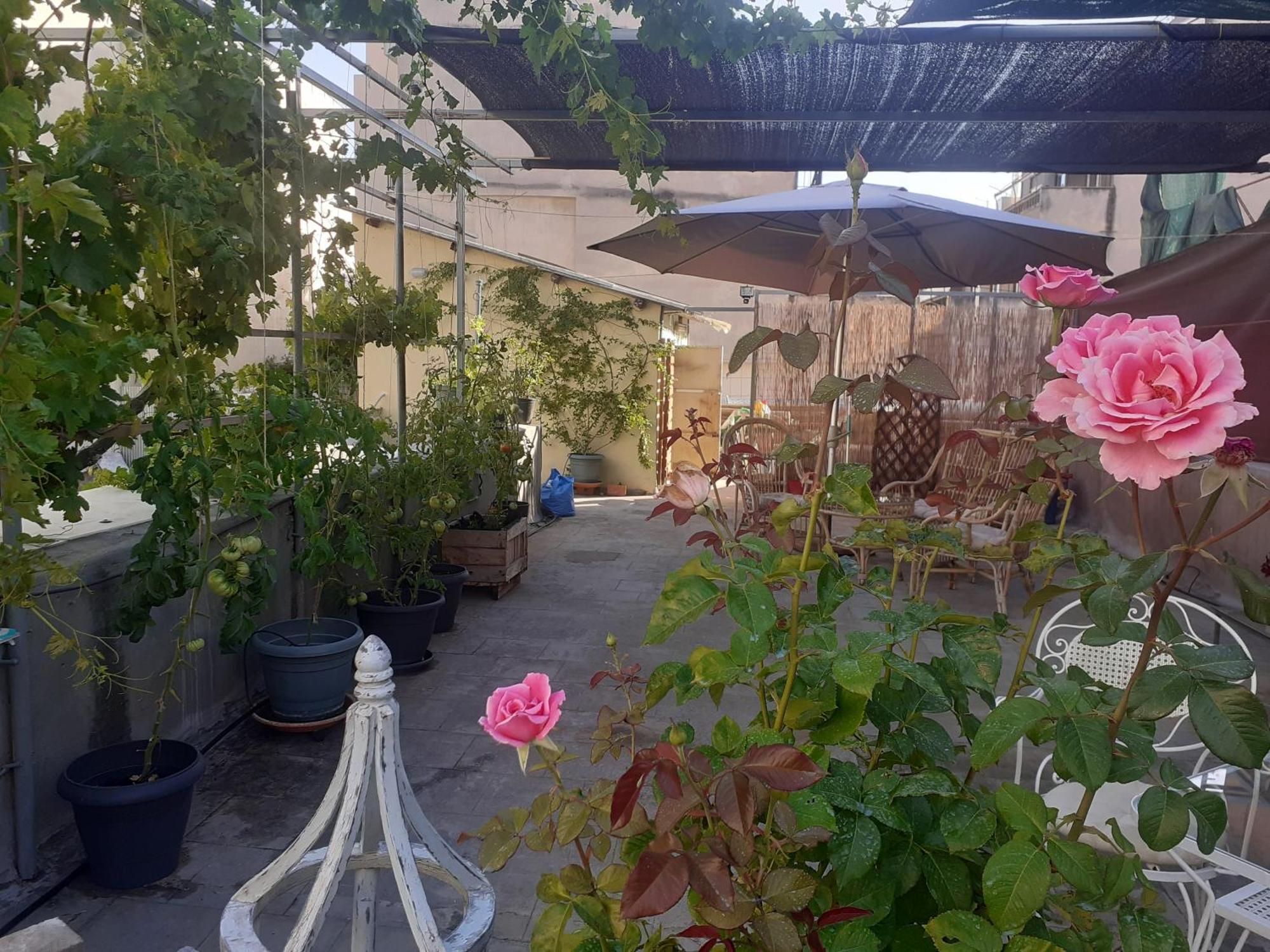 17 Flats And Roof Garden Διαμέρισμα Αθήνα Εξωτερικό φωτογραφία